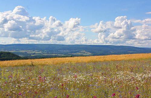 Ferienwohnungen in Losheim am See - Foto 56