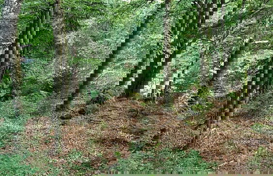 Ferienhaus Mauth - Foto 41