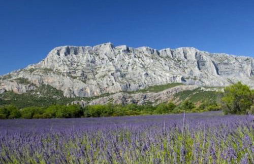 Lamaisonbleue - Foto 37