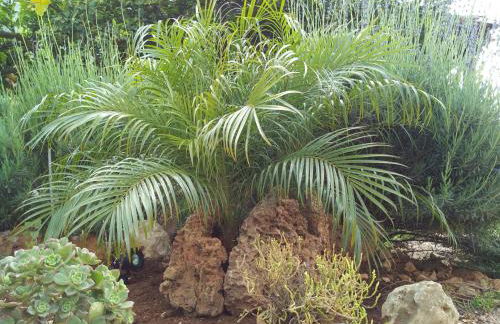 Baglio Poma - Foto 44