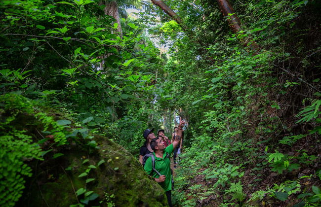 Randonnée au cerro del Mono - Photo 3