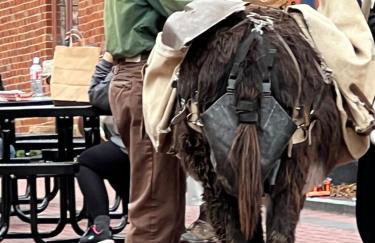 Meandering Moose Apartment Vacation Rental - Foto 58