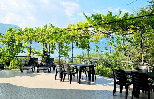 Point of View - Foto 10