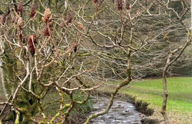 Gîte du gué - Foto 18