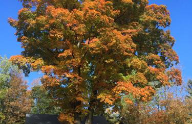 1894 Catskills Farmhouse Retreat - Foto 35