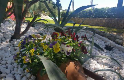 Villa Greco - Foto 25