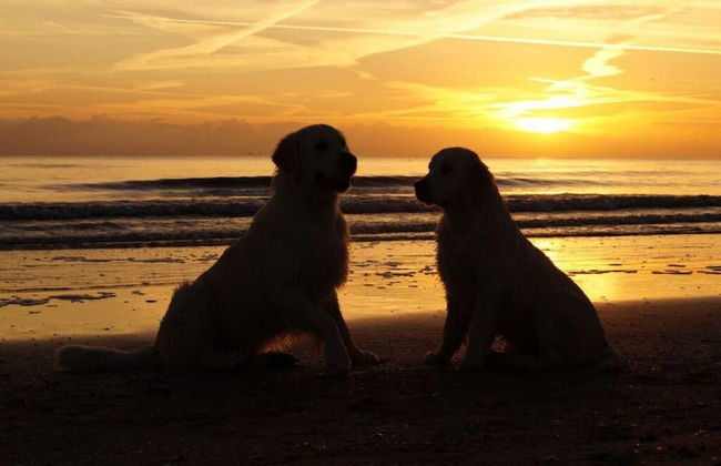 Time out Karlshagen Comfortable Vacation Home - Foto 18