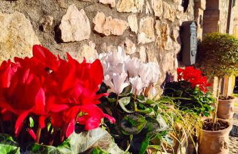 Dimora Porta Venere - Foto 34