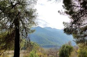 Finca La Celada - Foto 9