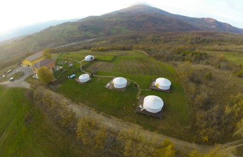 Società Agricola Cacigolara - Photo 127