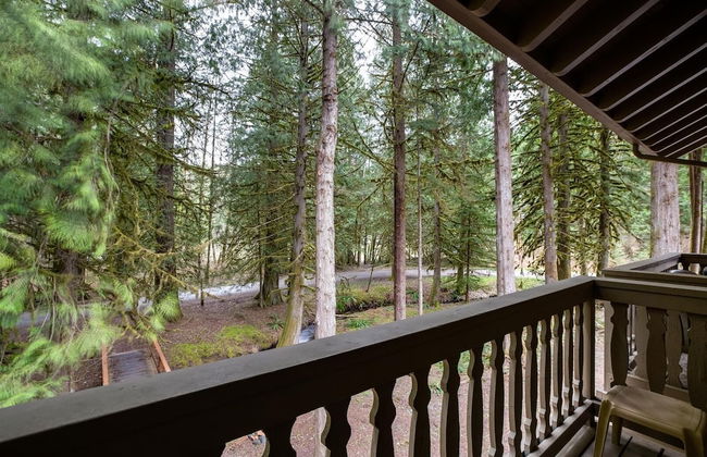 56SLL - Fireplace - Inexpensive - Kitchenette - Sleeps 4 - Foto 10