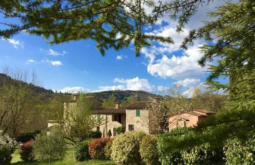 Agricola Caicucci - Foto 19