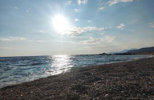 Sun N Sand - Foto 49