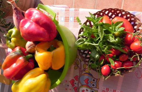 Agriturismo Il Cuscino Nel Pagliaio - Foto 35