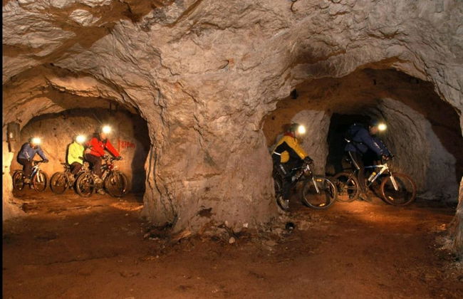 Apartmaji Koželj - Foto 22