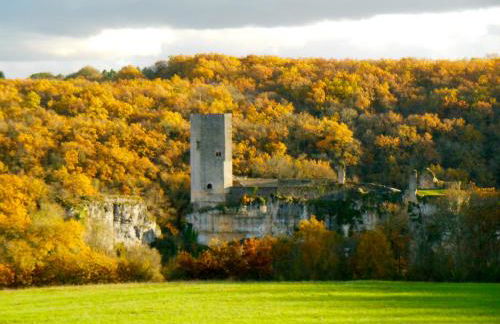 Les Hauts de Sentelines cottage - Foto 41