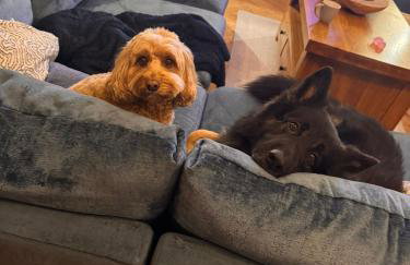 Moorsholm View - Foto 10