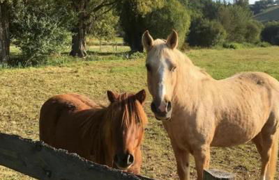 Studio de la Peyriere - Foto 16