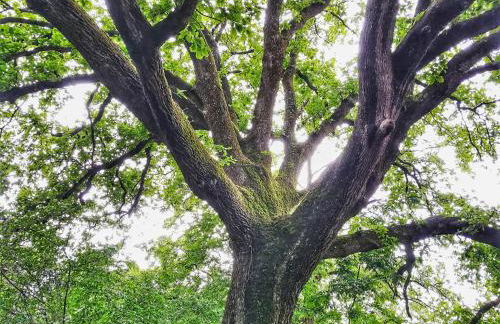 Agriturismo Podere Santa Rita - Foto 26