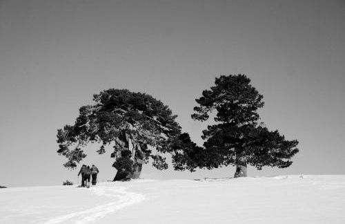 Tana Libera Tutti 2 Nature, Yourself, Love - Foto 30