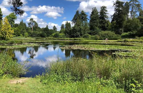 The Old Workshop, Wadhurst - Foto 55