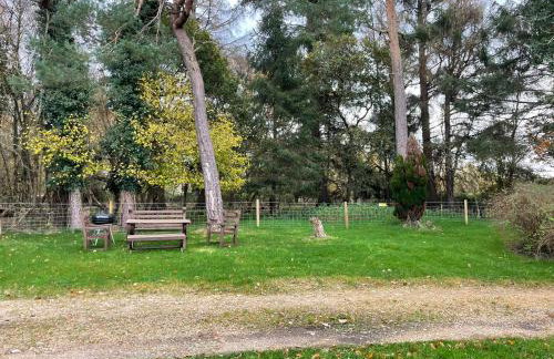 Cottages at Woodlands, Dormer - Foto 53