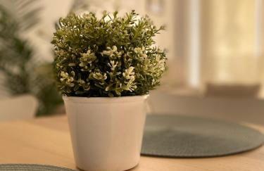 Paradise by E&J - Foto 12