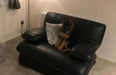 Southsea, Beach and Beauty Lodges - Foto 20