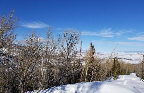 Whistle Pig Retreat at 22 West Cabins and Recreation - Foto 14