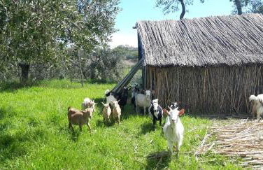 Alloggio Casale Stella - Foto 49