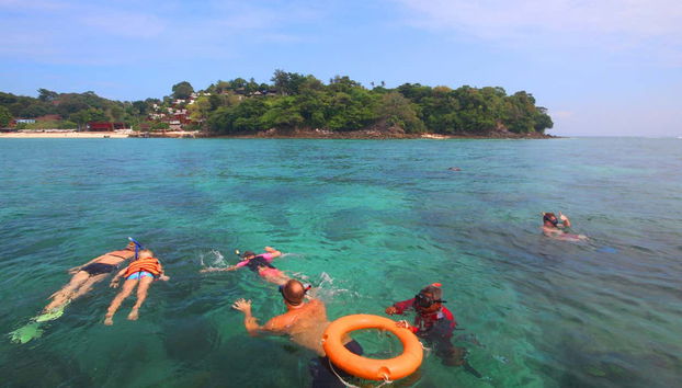 Snorkel around the Phi Phi Islands