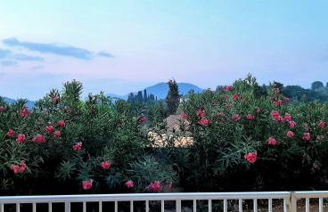 Kidonakia Apartments - Foto 13