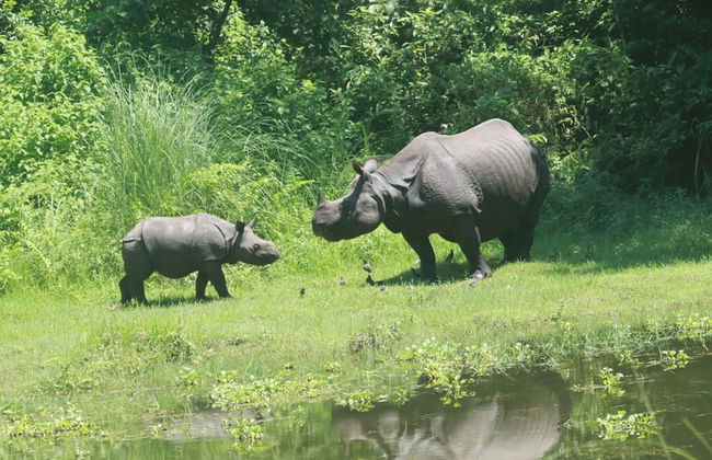 Nana Jungle Resort Near Chitwan National Park - Foto 27