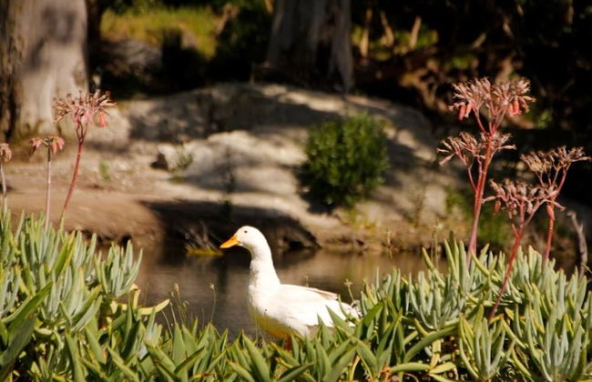 BOTTERKLOOF RESORT - Foto 76