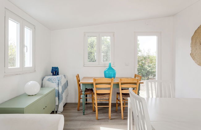 Pinhal da Praia em Melides - Foto 26