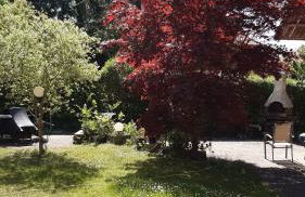 Ferienwohnung Luise, gemütlich, freundlich und ganz nah an Berlin - Foto 39