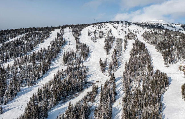 I Spy - Cozy Pet Friendly, Ski In/Ski Out Condo with Private Hot Tub - Photo 27