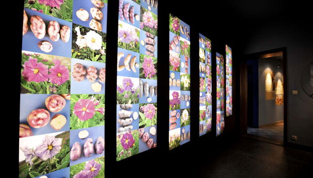 Bruges Fries Museum Ticket - Foto 4