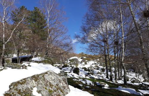 A Mansão do Mé-Mé - Foto 1