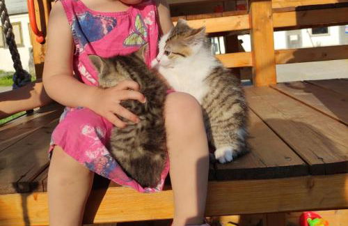 Ferienhof Broger FeWo Bergblickle mit Pool - Foto 56