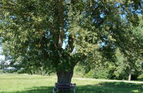 Guesthouse Trostelhof 3 - Photo 35