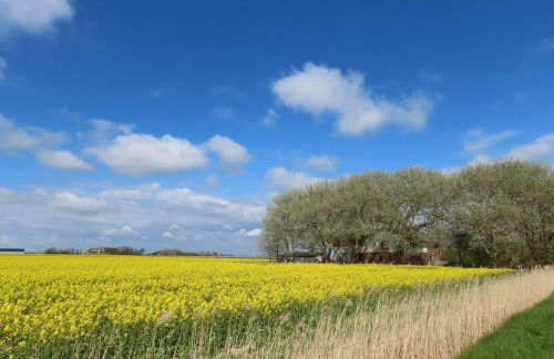 Große Warf mit Rasenfläche - Photo 15