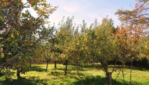 La Quinta Del Chocolatero - Photo 5