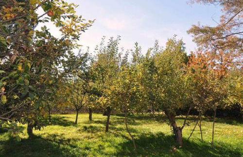 La Quinta Del Chocolatero - Photo 5