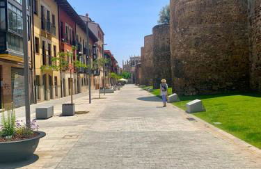 Casa Palomera - Casa completa con jardín, gimnasio y garaje privados - Foto 11