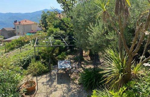 Ferienhaus Casa Pino mit eingezäuntem Garten in Ligurien zur Alleinnutzung - Foto 29