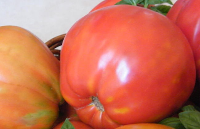 Agriturismo La Vecchia Fontana - Photo 39