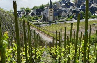 Ferienwohnung Haus am Calmont - Foto 32