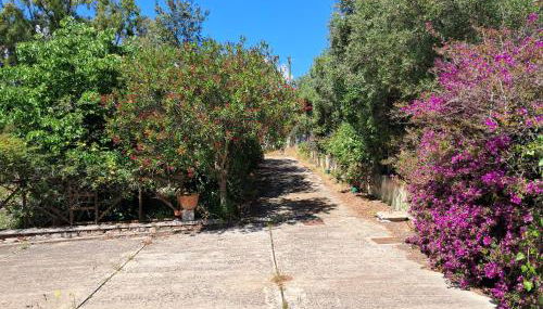 fmp-ps01 villa 300 metri mare 4 letto - Foto 4