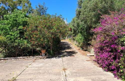 fmp-ps01 villa 300 metri mare 4 letto - Foto 4